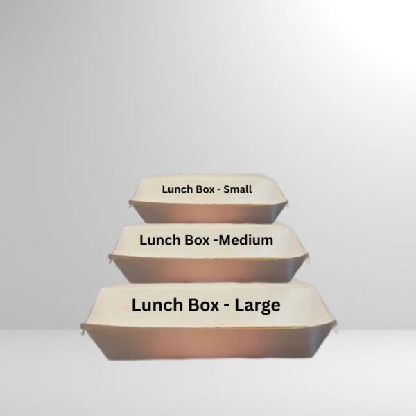 Vision Lunch Box