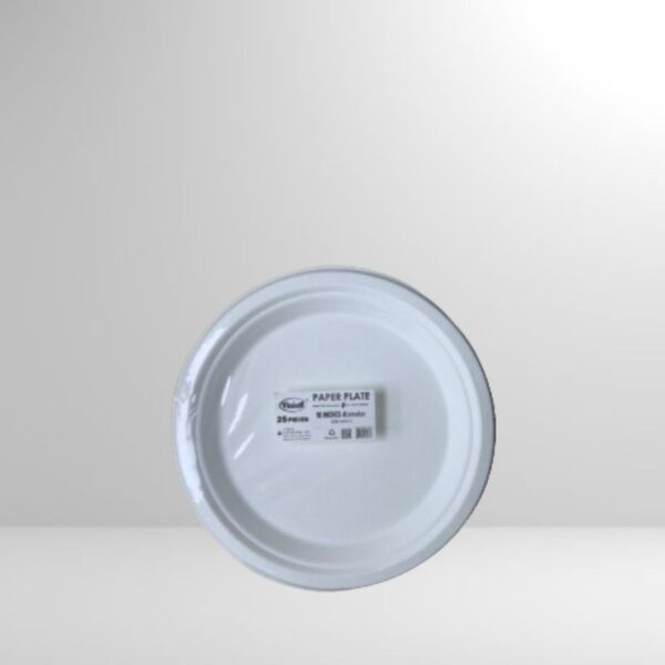 Vision Paper Plate